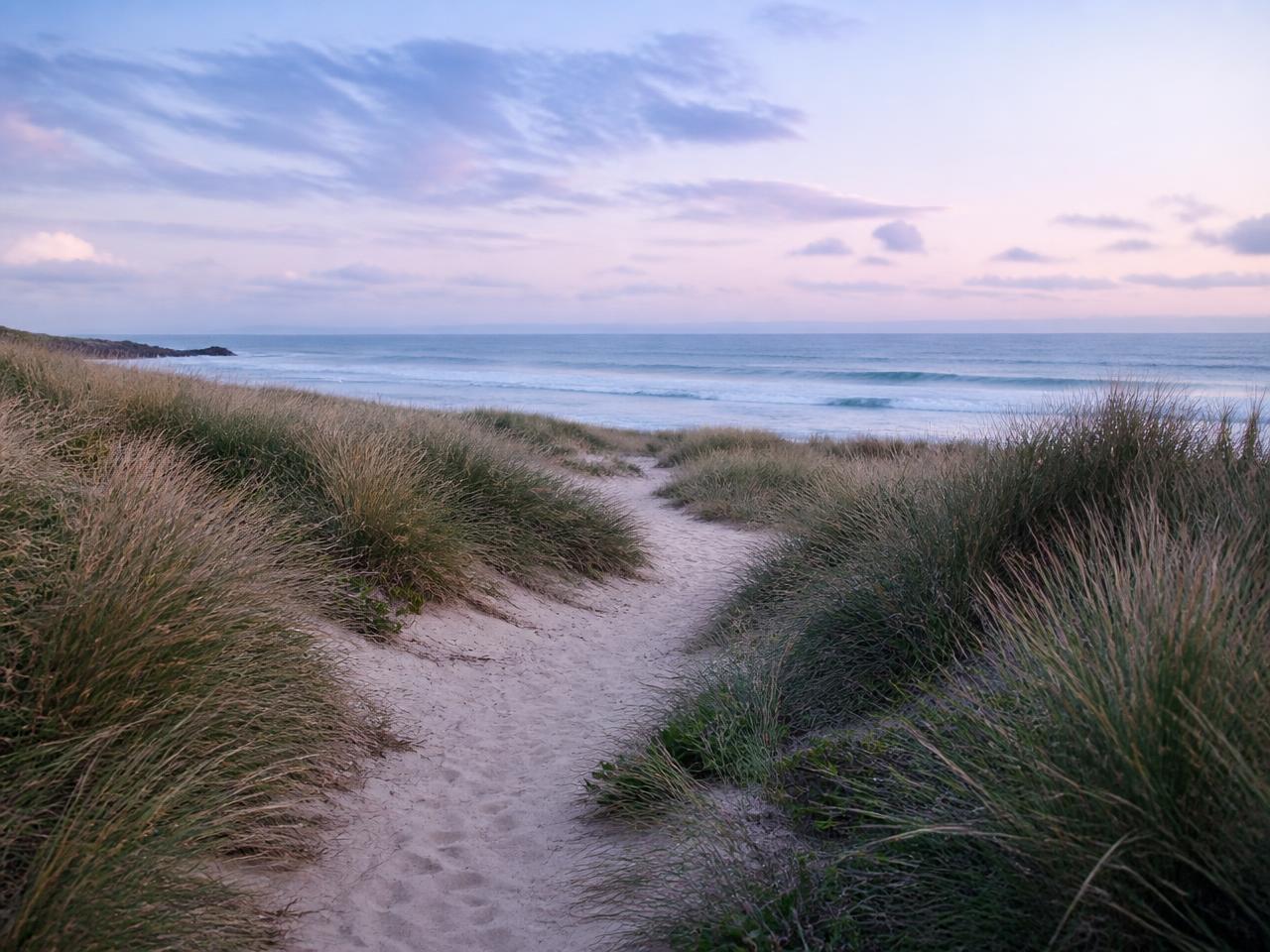 Sandy pathway winding through coastal dune grasses toward the ocean
